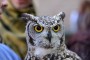 Thumbs/tn_Castlefest 2016 Zaterdag 218.jpg